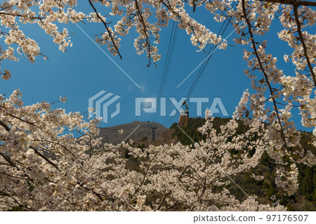 Beppu Ropeway and cherry blossoms (Beppu City, Oita Prefecture) Beppu Ropeway and cherry blossoms (Beppu City, Oita Prefecture) 97176507