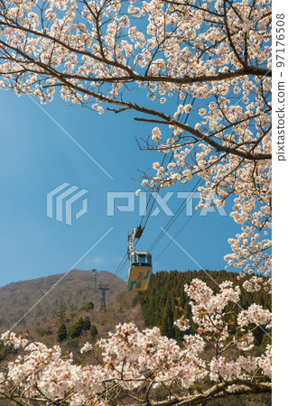 Beppu Ropeway and cherry blossoms (Beppu City, Oita Prefecture) Beppu Ropeway and cherry blossoms (Beppu City, Oita Prefecture) 97176508