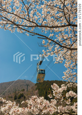 Beppu Ropeway and cherry blossoms (Beppu City, Oita Prefecture) Beppu Ropeway and cherry blossoms (Beppu City, Oita Prefecture) 97176509