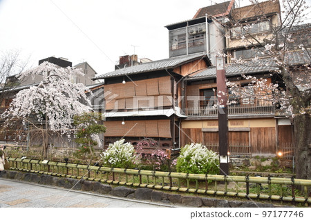 祗園白川的氛圍 祗園白川的氛圍 97177746