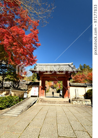Kanshinji Temple (Sanmon) [Kawachinagano City, Osaka Prefecture] 97177833