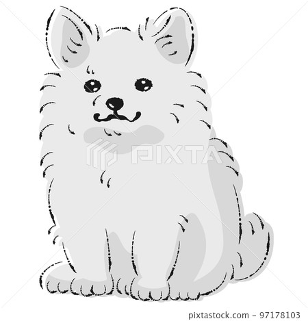 Pomechiwa illustration (Pomeranian and Chihuahua mix dog) black and white Pomechiwa illustration (Pomeranian and Chihuahua mix dog) black and white 97178103