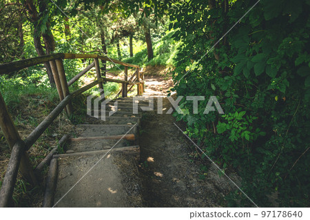 Old wooden steps made of logs in the forest. 97178640
