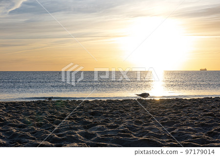 Sea embankment at sunset with a clear cloudless sky. 97179014