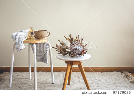 Home composition with protea flower in the interior of the room. 97179026