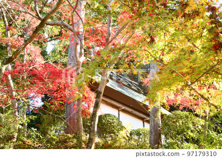 楠木觀音寺 [大阪府河內長野市] 97179310
