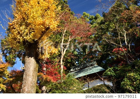 楠木觀音寺 [大阪府河內長野市] 97179311