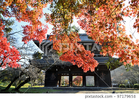 Shingi Shingon Buddhist Shohonzan Negoro-ji Temple（Daimon / Momiji）[和歌山縣岩出市Negoro] 97179658