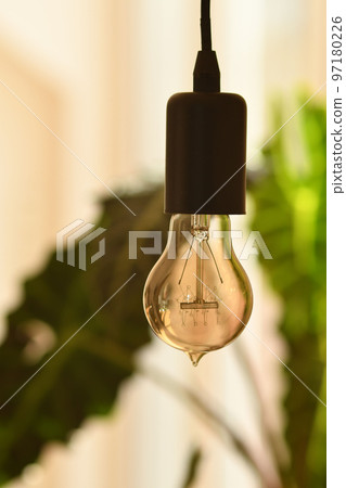 Vertical shot of a hanging light bulb 97180226