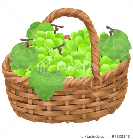 裝滿葡萄的籃子插圖 97180248