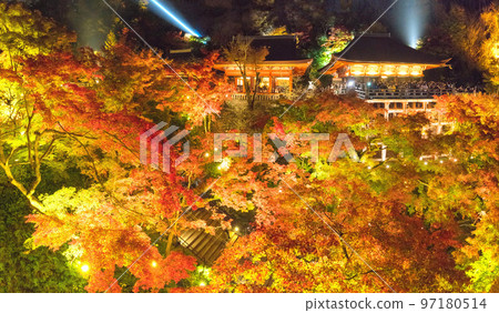 Autumn leaves of Kiyomizudera 97180514