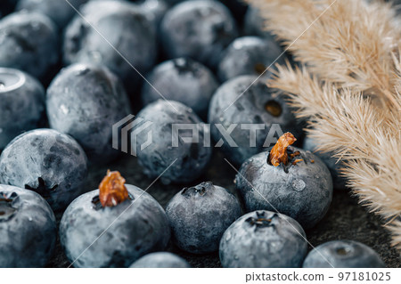 Wet ripe blueberries close up, macro shot. Wet ripe blueberries close up, macro shot. 97181025