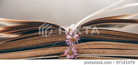 Open old books stacked, close-up on blurred background. Open old books stacked, close-up on blurred background. 97181079
