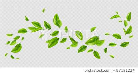 Fresh green leaves flying on wind 97181224