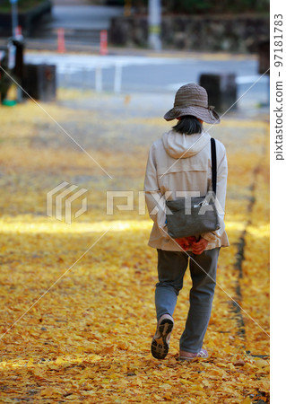 孤獨的老人散步的秋天 孤獨的老人散步的秋天 97181783