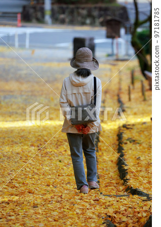 孤獨的老人散步的秋天 孤獨的老人散步的秋天 97181785