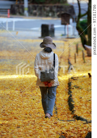 孤獨的老人散步的秋天 97181786