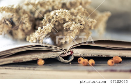 Cozy background with open book on blurred background. Cozy background with open book on blurred background. 97182055