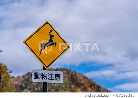 Deer, monkeys and raccoon dogs cross the road. 97182385