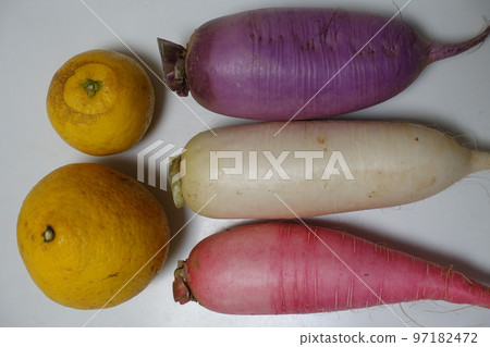 harvested vegetables harvested vegetables 97182472