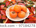 6 fuyu persimmons placed on a colander on the persimmon red fallen leaves 97184278