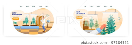 Hemp cultivation landing page design, website banner vector templates. Growing marijuana indoors under artificial light. 97184531