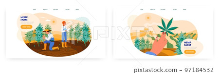 Hemp farm landing page design, website banner vector template set. People growing cannabis plants. Marijuana production. Hemp farm landing page design, website banner vector template set. People growing cannabis plants. Marijuana production. 97184532