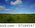 Kushiro Marsh on a sunny day 97184547