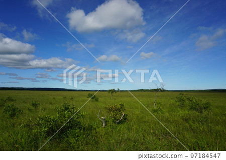 Kushiro Marsh on a sunny day Kushiro Marsh on a sunny day 97184547