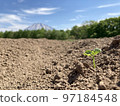 Mount Yotei and soybean sprouts 97184548