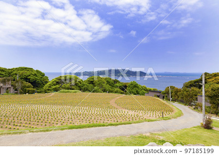 能古島海島公園全景花壇 能古島海島公園全景花壇 97185199