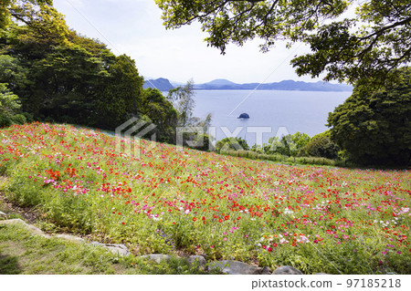 能古島海島公園 花園風景 能古島海島公園 花園風景 97185218