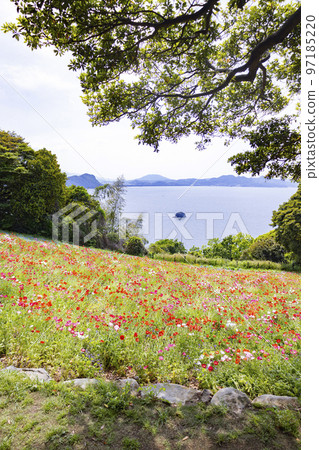 能古島海島公園 花園風景 能古島海島公園 花園風景 97185220