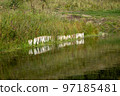 Deep water surface shore lake or river. Serene landscape coastal with a descent to the reservoir 97185481