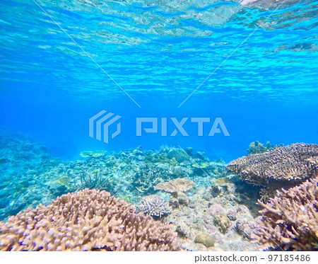 阿卡島湛藍的大海下 阿卡島湛藍的大海下 97185486