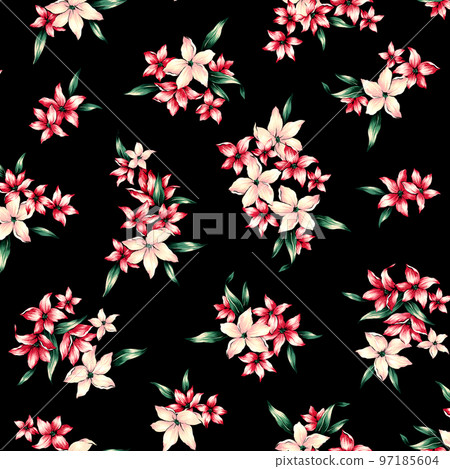 阿羅哈圖案與手繪雞蛋花, 阿羅哈圖案與手繪雞蛋花, 97185604