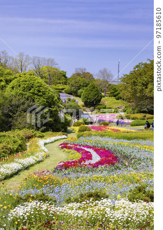 能古島海島公園 花園風景 能古島海島公園 花園風景 97185610