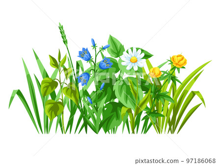 Background with meadow flowers. Herbs and cereal grass. Beautiful decorative spring plants. 97186068