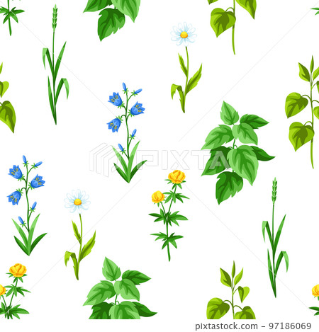 Seamless pattern with meadow flowers. Herbs and cereal grass. Beautiful decorative spring plants. 97186069