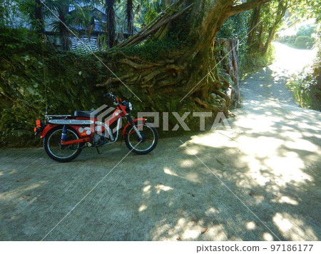 Riding a hunter cub on a country road 97186177