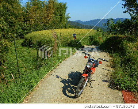 Riding a hunter cub on a country road Riding a hunter cub on a country road 97186178