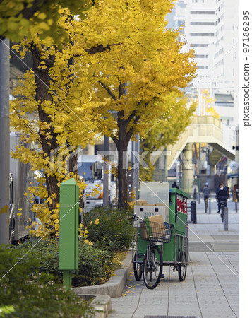 Autumn ginkgo and delivery scenery in the city 97186295