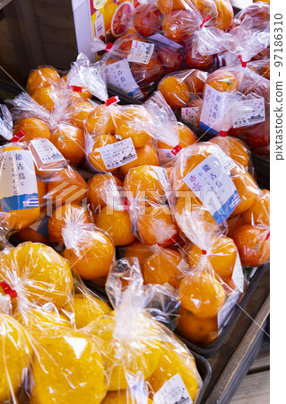 Citrus harvested on the island sold at the Nokonoshima Information Center Citrus harvested on the island sold at the Nokonoshima Information Center 97186310