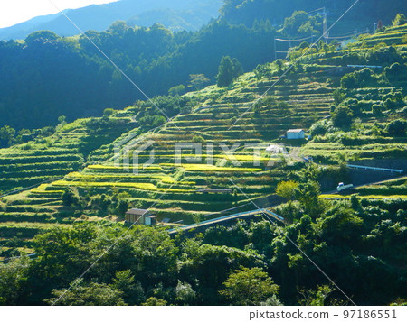 中田的梯田遠景 97186551