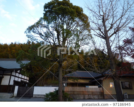 知多郡東浦町健康院 97186945