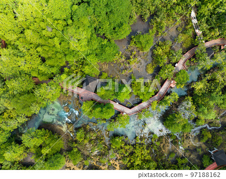 Top view Mangrove forest and river landscape at Thapom Klong Song Nam, Krabi Thailand, Beautiful root in mangrove forest with crystal clear water in small canal,High angle view Top view Mangrove forest and river landscape at Thapom Klong Song Nam, Krabi Thailand, Beautiful root in mangrove forest with crystal clear water in small canal,High angle view 97188162
