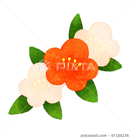 梅花 97188236