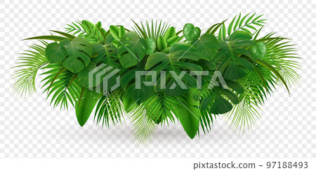 Tropical Leaves Bush Composition 97188493