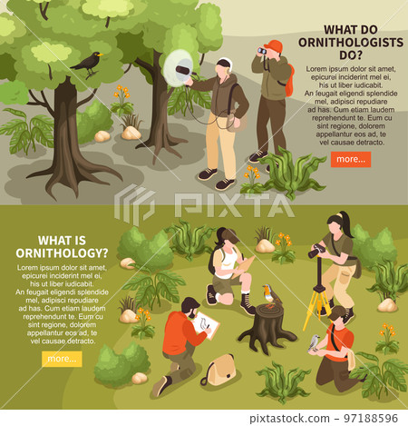 Ornithologist Horizontal Banners Ornithologist Horizontal Banners 97188596