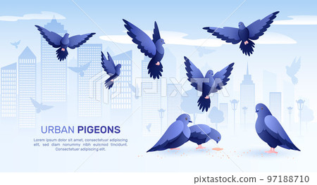 City Pigeons Flat Background City Pigeons Flat Background 97188710